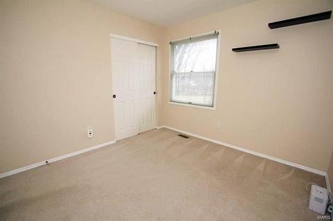 1322 Parkview Valley Dr, Ballwin, MO 63011 photo 19