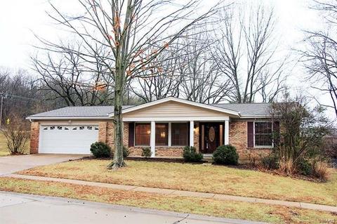 1322 Parkview Valley Dr, Ballwin, MO 63011 photo 2