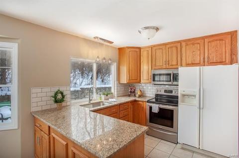 194 Spring Oaks, Ballwin, MO 63011 photo 10