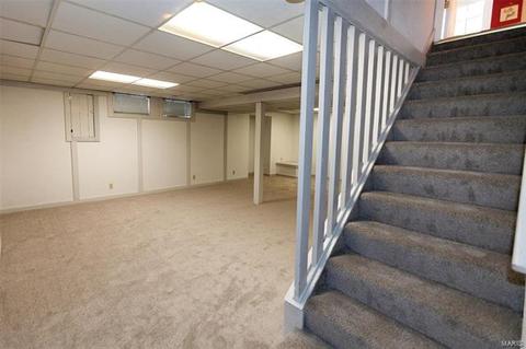 194 Spring Oaks, Ballwin, MO 63011 photo 25