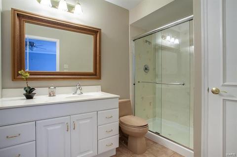 194 Spring Oaks, Ballwin, MO 63011 photo 19