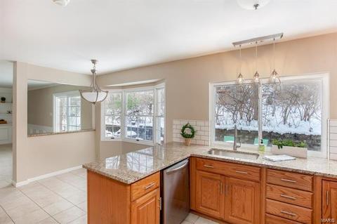 194 Spring Oaks, Ballwin, MO 63011 photo 11