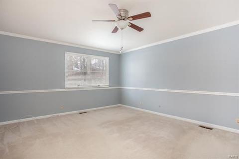 194 Spring Oaks, Ballwin, MO 63011 photo 17