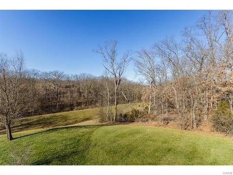 25 Thoreau Ct, O'fallon, MO 63366 photo 35