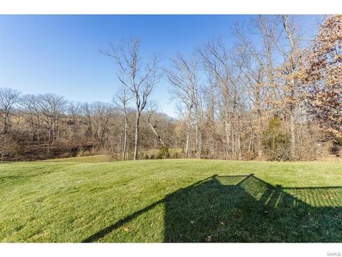 25 Thoreau Ct, O'fallon, MO 63366 photo 10