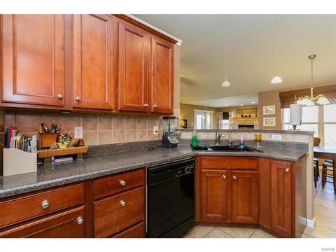 25 Thoreau Ct, O'fallon, MO 63366 photo 15