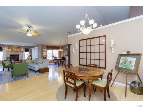 25 Thoreau Ct, O'fallon, MO 63366 photo 12