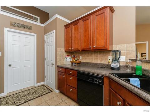 25 Thoreau Ct, O'fallon, MO 63366 photo 18