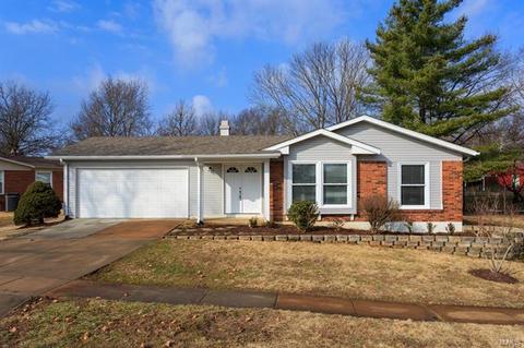 1255 Jade Wind Cir, Ballwin, MO 63011 photo 1