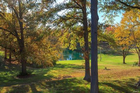 677 Henry Ave, Manchester, MO 63011 photo 22