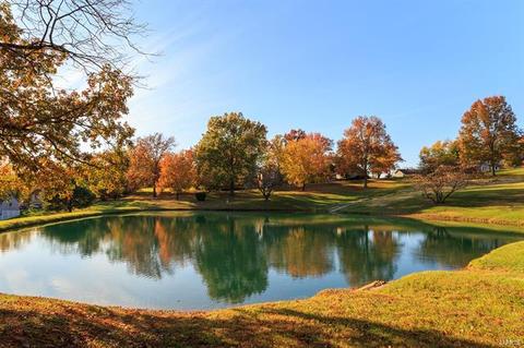 677 Henry Ave, Manchester, MO 63011 photo 20