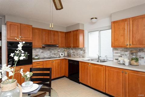 677 Henry Ave, Manchester, MO 63011 photo 4
