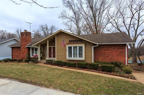 677 Henry Ave, Manchester, MO 63011 photo 24