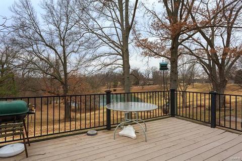 677 Henry Ave, Manchester, MO 63011 photo 17