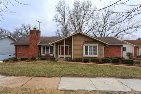 677 Henry Ave, Manchester, MO 63011 photo 1