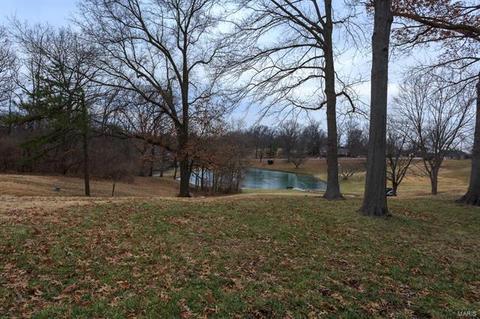 677 Henry Ave, Manchester, MO 63011 photo 19