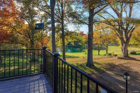 677 Henry Ave, Manchester, MO 63011 photo 21