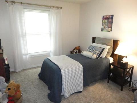 835 Ivy Trce, Ballwin, MO 63021 photo 28