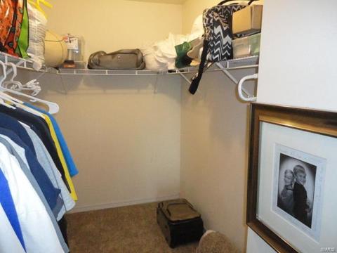835 Ivy Trce, Ballwin, MO 63021 photo 20