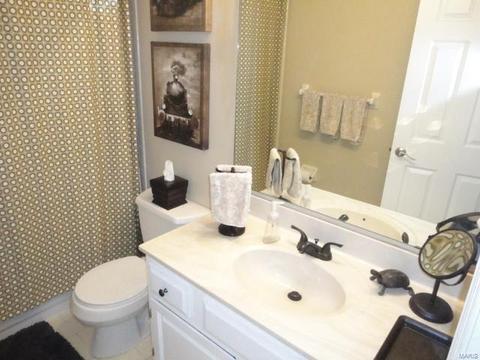835 Ivy Trce, Ballwin, MO 63021 photo 33