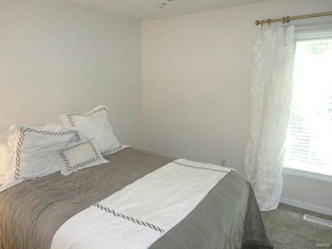 835 Ivy Trce, Ballwin, MO 63021 photo 30