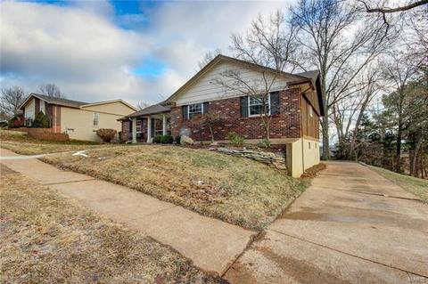 1018 Dutch Ml, Ballwin, MO 63011 photo 3