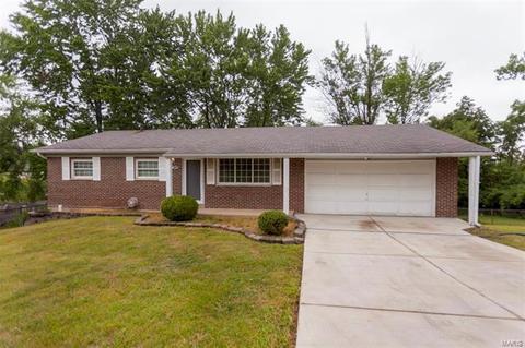 196 Mareda Ln, Arnold, MO 63010 photo 1