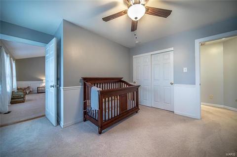 862 Ivy Trce, Ballwin, MO 63021 photo 23