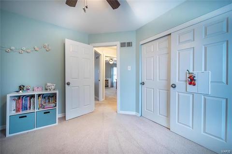 862 Ivy Trce, Ballwin, MO 63021 photo 29