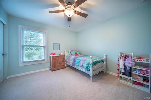 862 Ivy Trce, Ballwin, MO 63021 photo 28