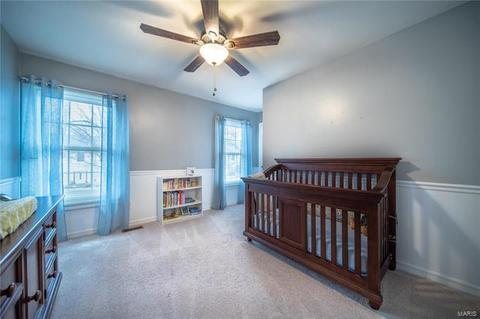862 Ivy Trce, Ballwin, MO 63021 photo 24