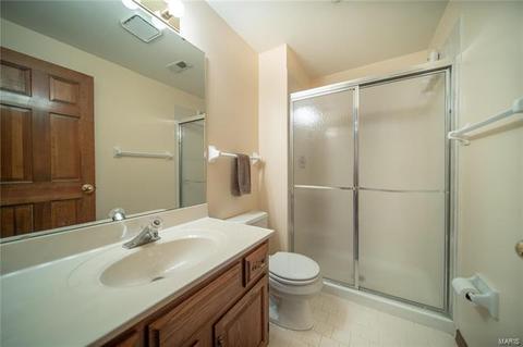862 Ivy Trce, Ballwin, MO 63021 photo 32