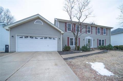 862 Ivy Trce, Ballwin, MO 63021 photo 38