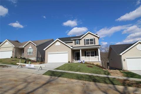 5040 Eagle Wing Ct, Eureka, MO 63025 photo 1