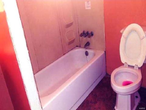 11070 Ebert Dr, Saint Louis, MO 63136 photo 7