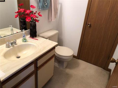 134 Cascade Terrace Dr, Ballwin, MO 63021 photo 12