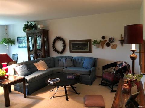 134 Cascade Terrace Dr, Ballwin, MO 63021 photo 5