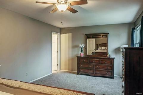 706 Turtle Cv, Ballwin, MO 63011 photo 16