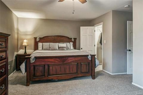 706 Turtle Cv, Ballwin, MO 63011 photo 15