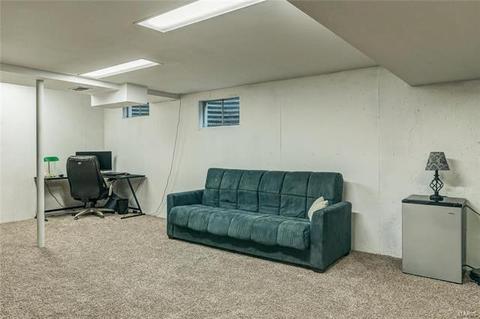 706 Turtle Cv, Ballwin, MO 63011 photo 21