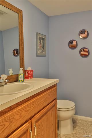 347 Buckhurst Dr, Ballwin, MO 63021 photo 42