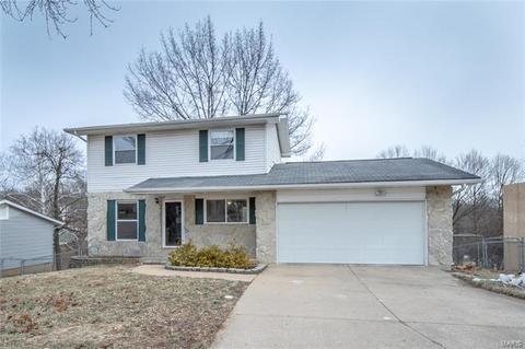 720 Levin Dr, O'fallon, MO 63366 photo 1