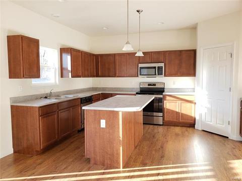 117 Brookview Way Dr, O'fallon, MO 63366 photo 5