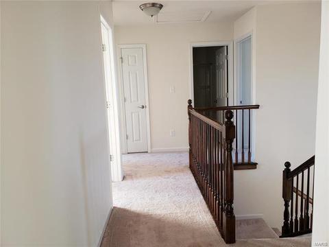 117 Brookview Way Dr, O'fallon, MO 63366 photo 17