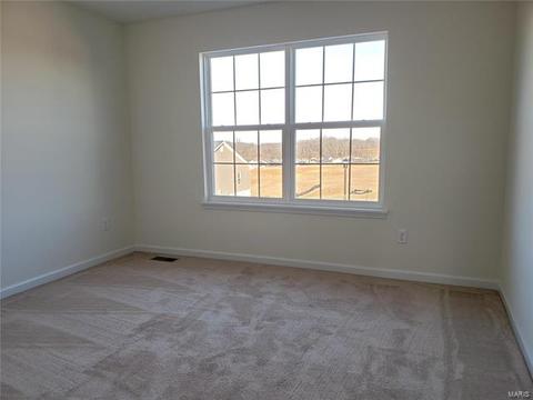 117 Brookview Way Dr, O'fallon, MO 63366 photo 22