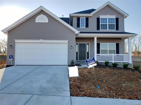 117 Brookview Way Dr, O'fallon, MO 63366 photo 1