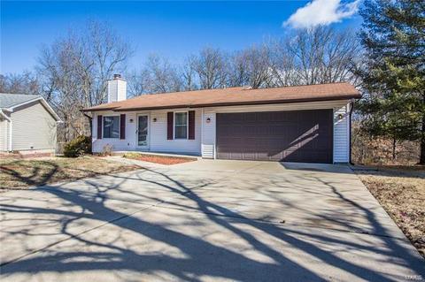 65 White Doe, Eureka, MO 63025 photo 24