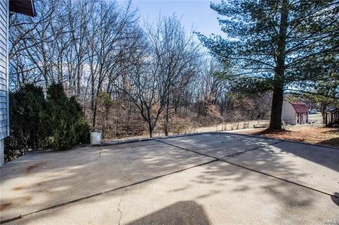 65 White Doe, Eureka, MO 63025 photo 22
