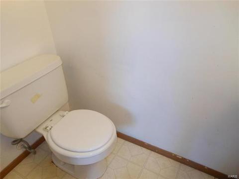 176 Pheasant Point Blvd, O'fallon, MO 63368 photo 16