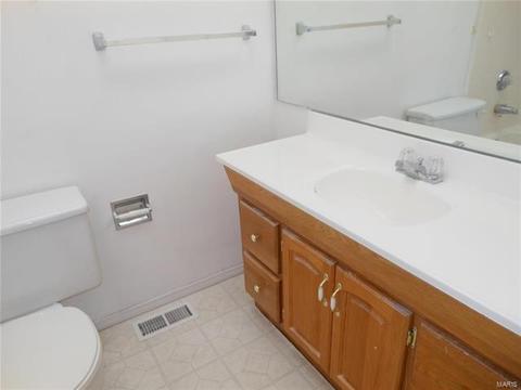 176 Pheasant Point Blvd, O'fallon, MO 63368 photo 19
